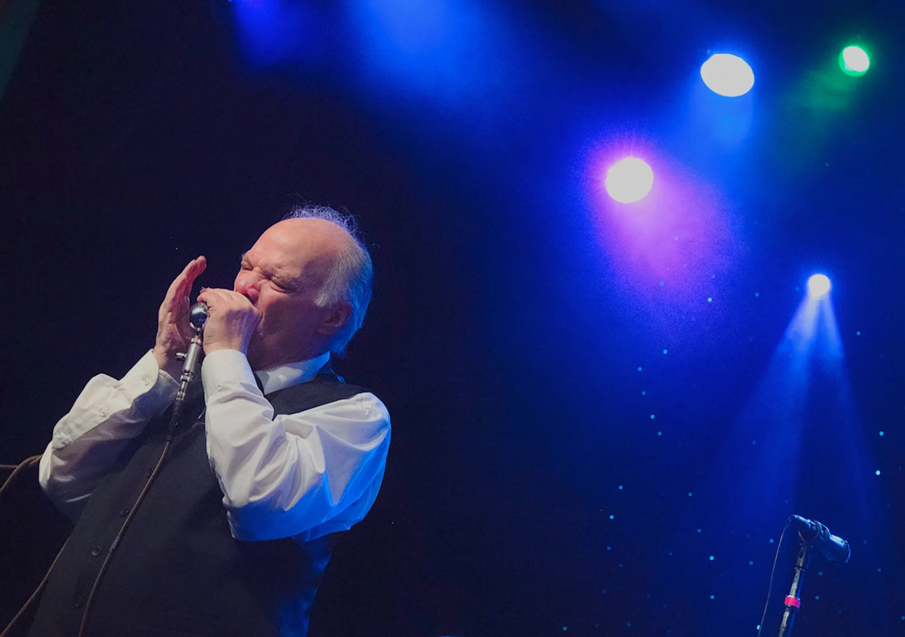 Curtis Salgado on harmonica